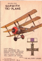 Sopwith Triplane, WWI  airplane